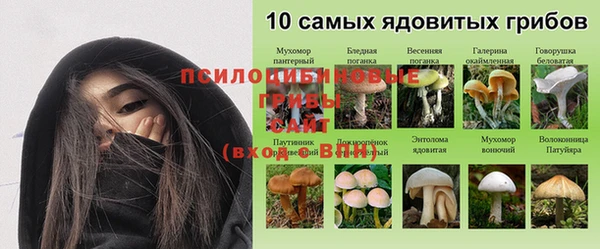 ГАЛЛЮЦИНОГЕННЫЕ ГРИБЫ Алексеевка